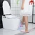 Import Factory direct sales of high-quality smart cover toilet from China