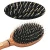 Import Factory OEM Logo Plastic Handle Oval Nylon Boar Bristle Hair Brush from China