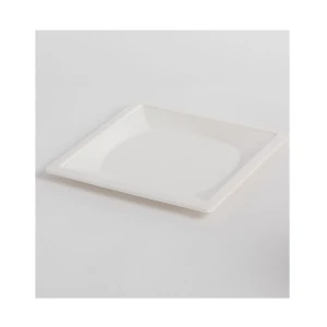 Factory Price Disposable Sugarcane Square Plate