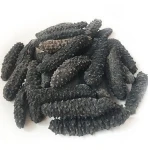 Factory Price Sea Cucumber