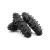 Import Factory Price Sea Cucumber from Brazil