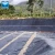 Import fish farm pond liner hdpe geomembrane waterproof plastic materials from China