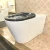 Import Floor Mounted Rimless Disabled Accessible Back To Wall Toilet WC Floor Pan with CE Watermark P Trap from China