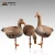 Import foldable white-fronted goose decoy for hunting from China