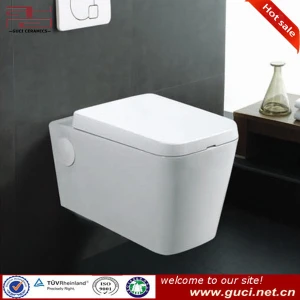 foshan factory price wall hung toilet wall mounted toilet paper holder