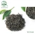 Import Free Sample chinese Non-polluted Organic Chunmee Green Tea,China Green Tea Flecha Quality from China