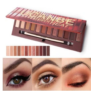 free sample make up eye shadow have eyeshadow palette and brush 12 colors eye shadow