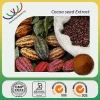 Free samples natural slimming medicine ingredient 10% theobromine 40% polyphenols cocoa extract powder