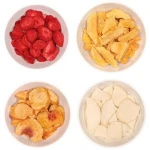 Freeze Dried Fruits