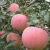 Import fresh apple chinese apple fruit gala apple from China