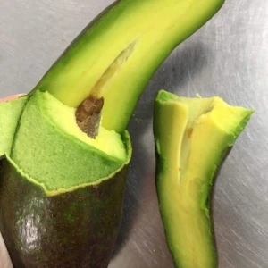 FRESH AVOCADO with Good price and HIGH QUALITY 2021