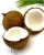 Import FRESH BROWN COCONUT from Indonesia