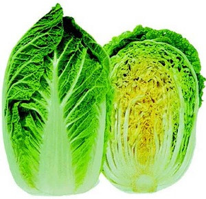 Fresh Celery Cabbage for sale