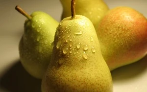 Fresh cheap fruit pears for wholesales