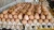 Import Fresh Chicken Eggs from Vietnam