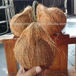Fresh Coconut Importers In UAE