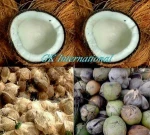 Fresh Coconuts