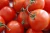 Import FRESH FARM HARVESTED TOMATOES from South Africa