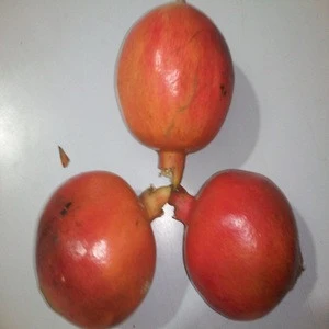 Fresh Organic Pomegranate Supplier in India