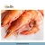 Import Fresh Seafood Frozen HOSO IQF Cooked Penaeus Vannamei White Shrimp from Singapore