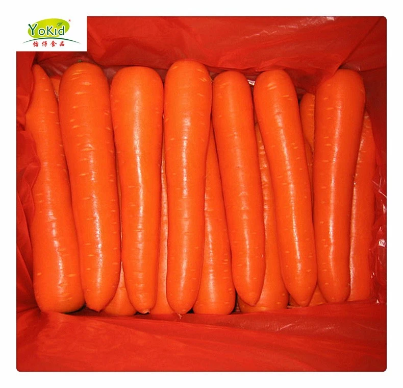 Fresh Wholesale Chinese Yellow Carrots