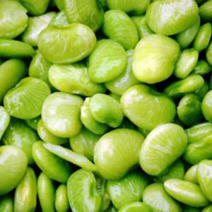 fried broad beans