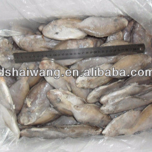Buy Frozen Butterfish In Fresh Seafood (pompano) 80-100g from Dongshan ...