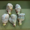 Frozen chicken drumstick A - grade