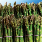 Frozen Green Asparagus _ FRESH ASPARAGUS
