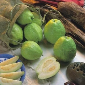Fruits fresh Guava 2.5 kg