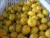Import FUYI Style Fresh Honey Nanfeng Mandarin Orange Citrus Fruit from China