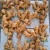 Import Global Sales Manufacturer Spot Chinese Bulk Fresh Ginger from China