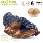GMP Standard Free Samples Factory Supply Kosher Halal ISO 9001Chaga Mushroom P.E.,Organic Chaga P.E.
