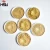 Import Golden Pearl Powder For Painting Cosmetic Gift Decoration from China