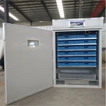 Good quality full automatic mini 112 eggs incubator for chicken, quail, duck eggs