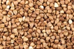 Grain Buckwheat