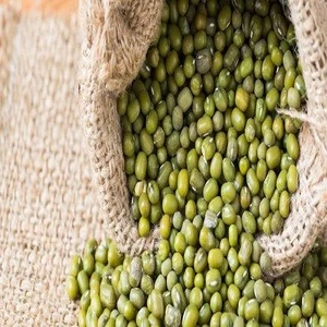 Green Mung Beans of Myanmar Origin