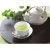 Import Gyokuro Best Green Tea Brand From Japan from Japan