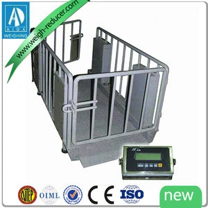 heavy duty electronic vet cattle weighing scale