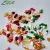 Import Herbal Supplements ginkgo natto  plant   capsules from China