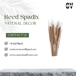High Quality Artificial Reed Spadix Dried  Flower For Home Decor Wedding Birthday Decoration
