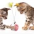 Import High quality cat balance swing car toy Interactive Cat Toys Swing ball Toys from China
