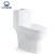 High Quality Elongated One Piece Toilet Water Closet With Slow Down Seat Cover