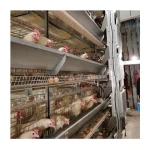High Quality Factory Automatic Poultry Farm Equipment Chicken Layer Cages For Egg Chicken