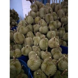 High Quality Fresh Durian Fruit