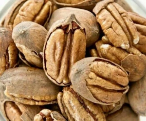 High Quality Pecan Nut Roasted Salted Pecans/Raw Pecan Nuts With Shell