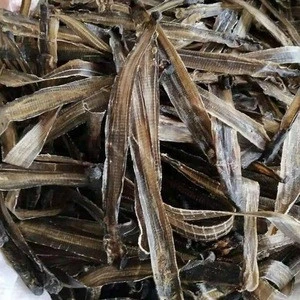 High Quality Protein Earthworm Dried for Animal Feed