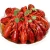 Import High Quality Seafood Product Natural Cooked Whole Frozen Spicy from China