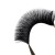 Import High Quality Strip Lashes Private Label Silk Classic Volume Individual Color Eyelash Extension Wholesale Lashes Eye Lash Extensions from China