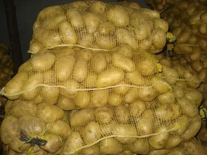 High-quality Yellow Fresh Organic Vegetable Nutrition Sweet Potato